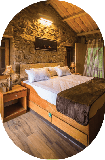 Cozy eco-friendly bedroom with wooden ceiling at Verdant Valleys Stay