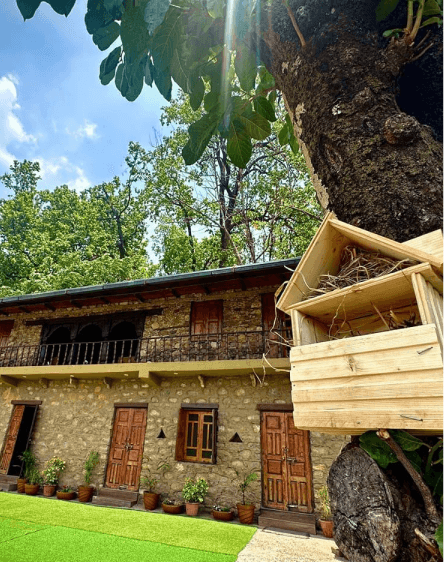 Traditional Himalayan stone architecture surrounded by greenery