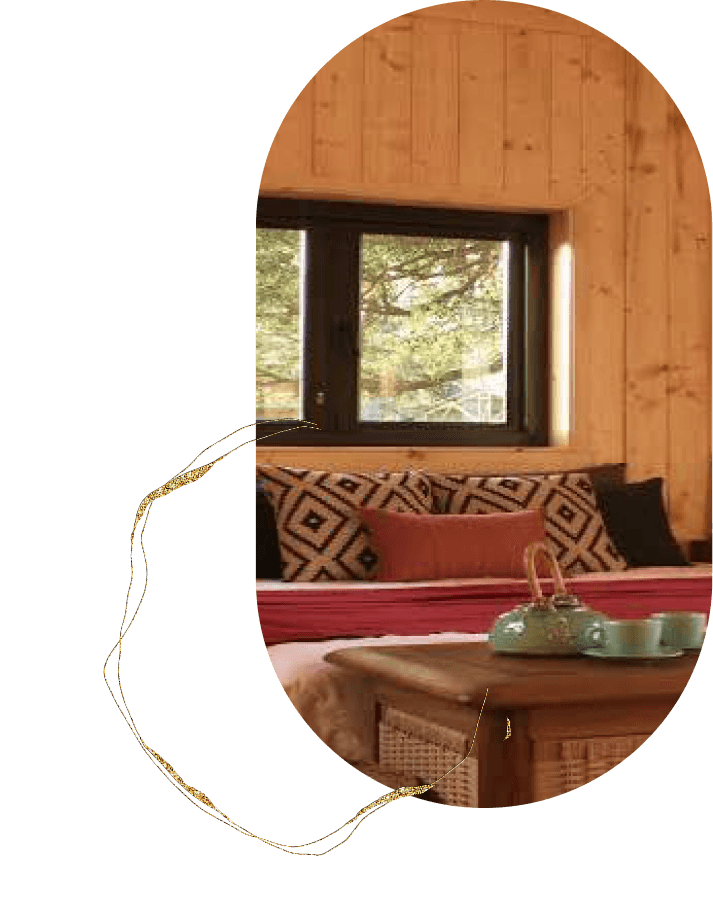 Wooden ceiling eco room with cozy bed and warm lighting